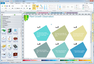 Neurological Observation Chart Template