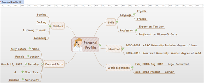  Carte heuristique profil personnel