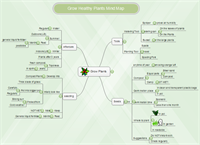 Mind Map of growing plants