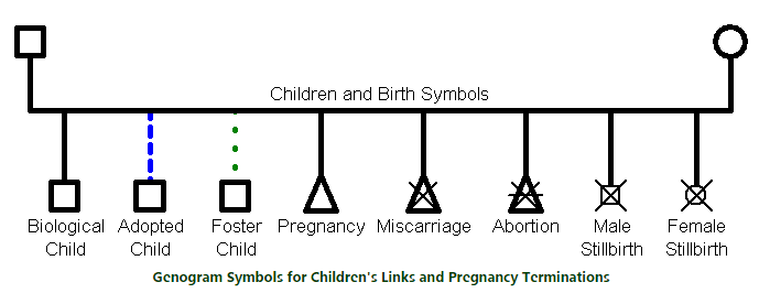 Male &Female Symbols