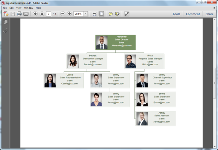 Organizational Chart Mac