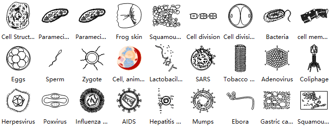 Symboles des cellules animales