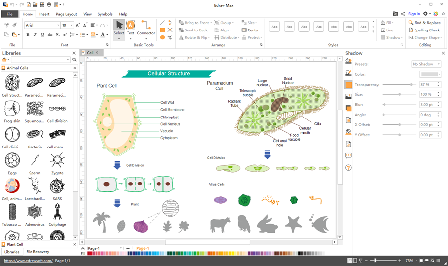 Scientific Illustration Software