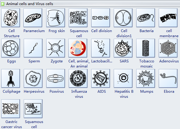 动物和病毒细胞符号