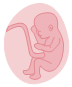 Fetus Symbols