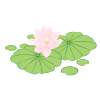 Lotus et la feuille de lotus