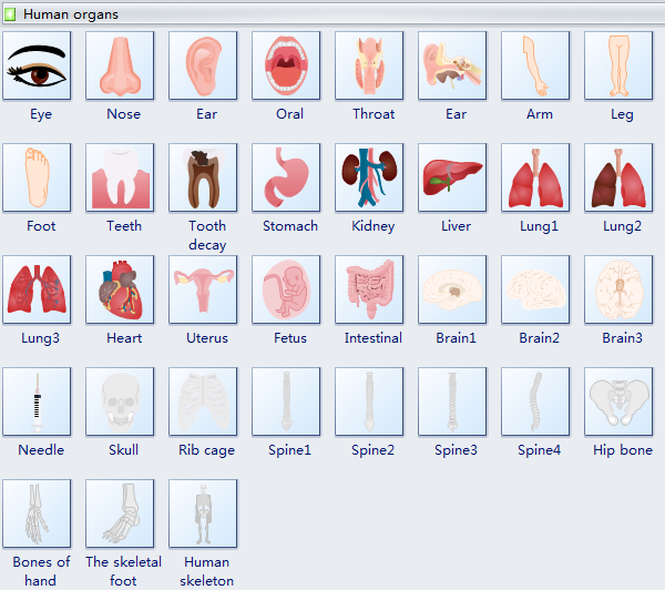 Símbolos para diagramas de órganos humanos