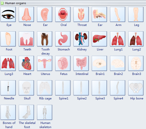 Human Organs Diagram Symbols