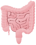 Símbolos intestinales