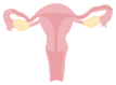 Símbolos del útero