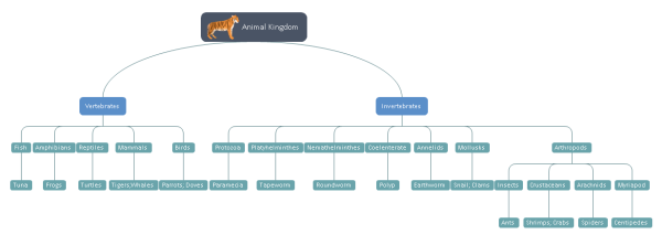 Plantilla del 谩rbol del Reino animal