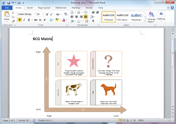 Modèle de matrice BCG au format Word