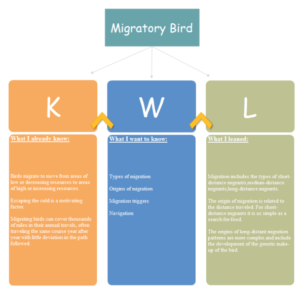 KWLMigratory Bird Template