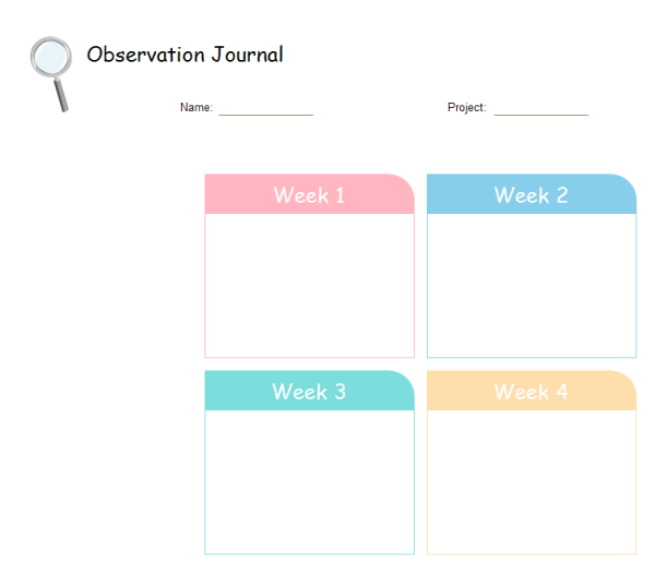 Observation Chart Template