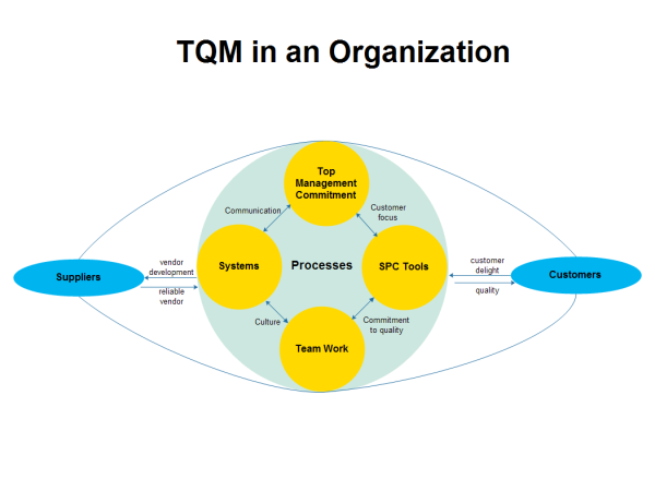 Organization TQM Diagram Examples and Templates