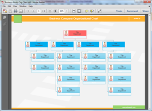 Organizational Chart Pdf Template