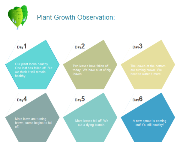 Plant Growth Observation Chart Template