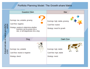 Portfolio Planning Model Examples