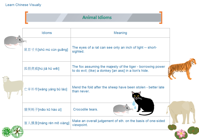 Animal Idioms Chart