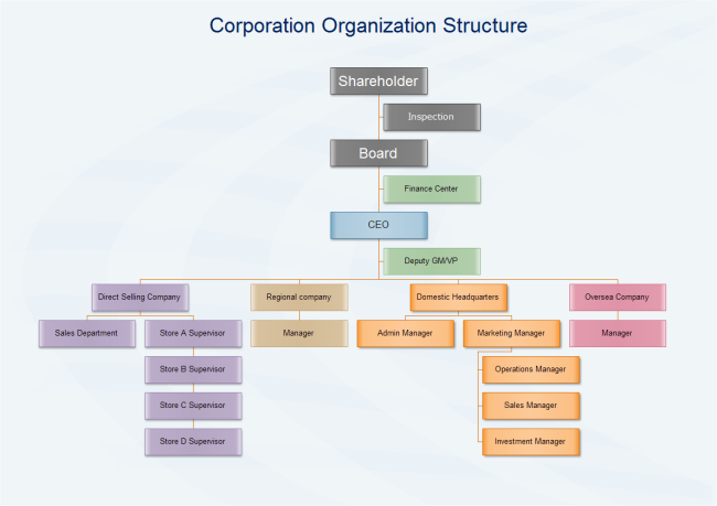 Corporation Organization Structure