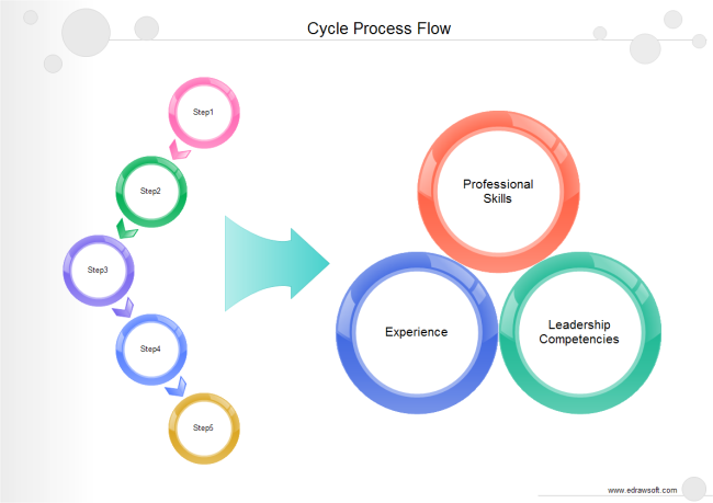 Flujo del proceso del ciclo
