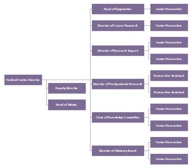 EU University Medical Center Organizational Chart Example