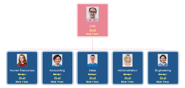 Functional Organizational Structure Chart