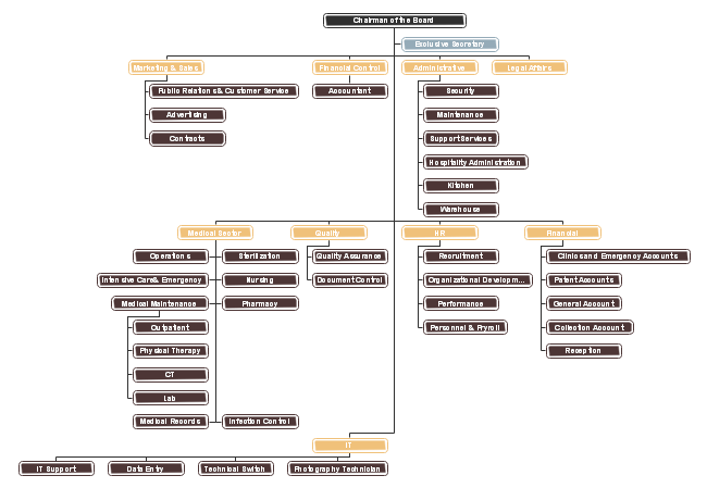 Typical Hospital Organizational Chart