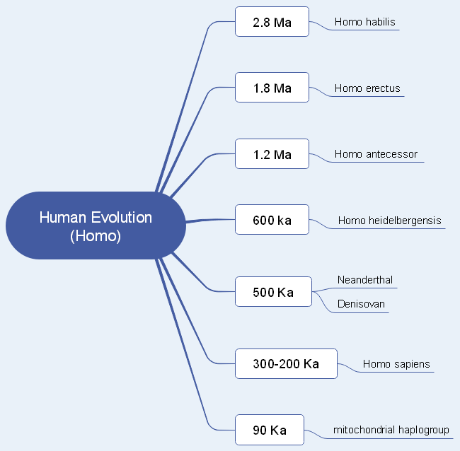 Human Evolution Mind Map