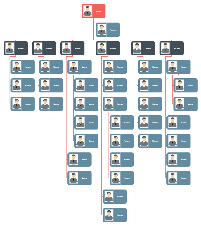 Large IT Enterprise Org Chart