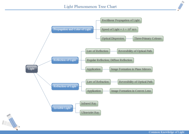 Light Phenomenon Tree Chart
