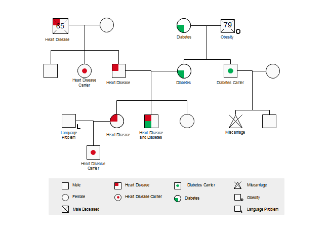 Medical Genogram