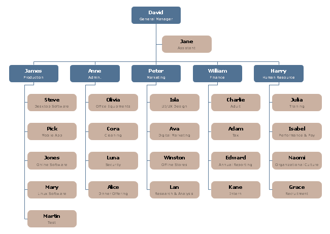 Middle Size IT Company Org Chart