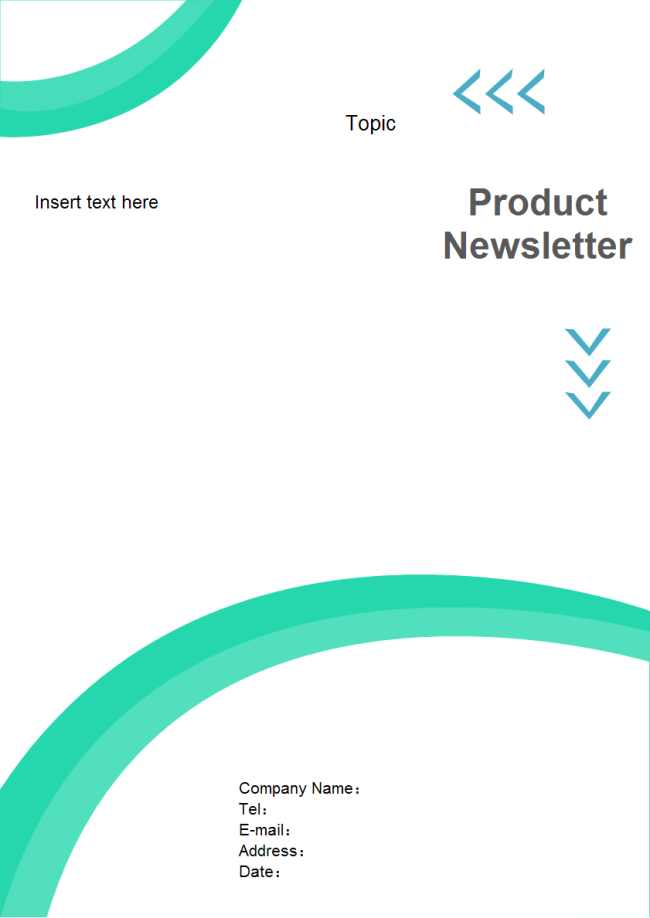 Product Newsletter Template