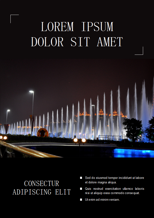 Night Fountain Flyer