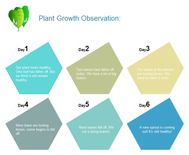 Pflanzenwachstums Beobachtungstabelle