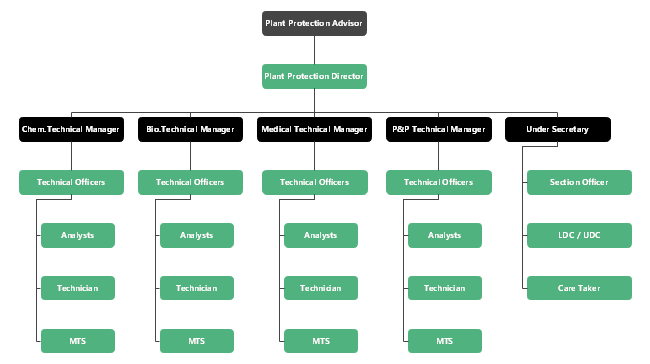 Non Profit Organizational Chart Template