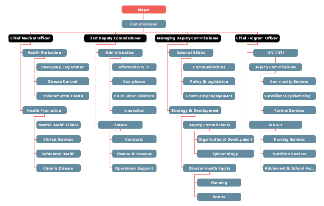 Public Health Non-profit Organizational Chart Example