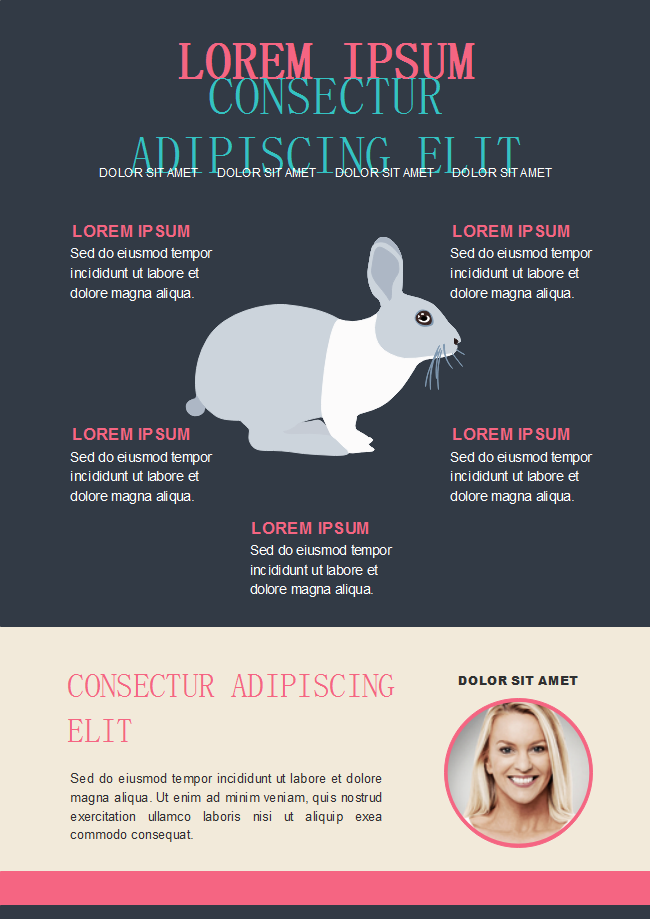 Rabbit Element Flyer