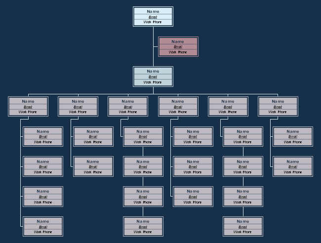 Retail Corporation Org Chart