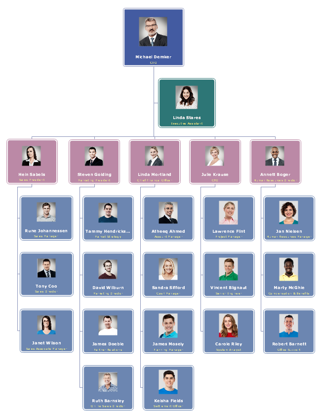 sales organizational chart with photos