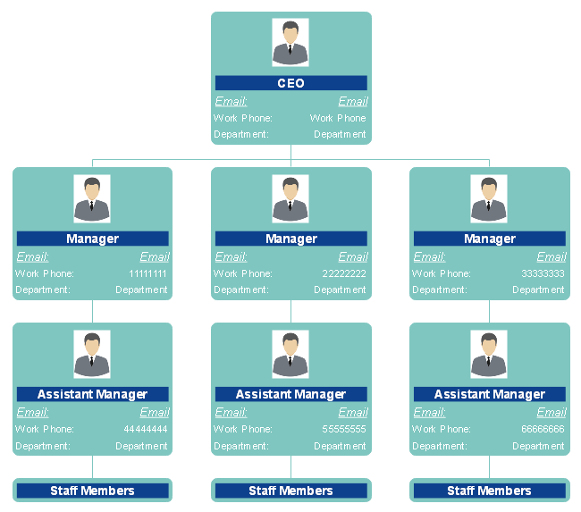 Functional Employee Organizational Chart Example