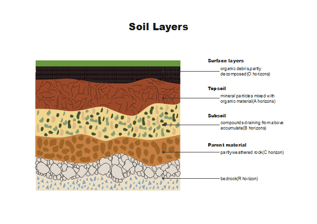 Soil Horizon Chart