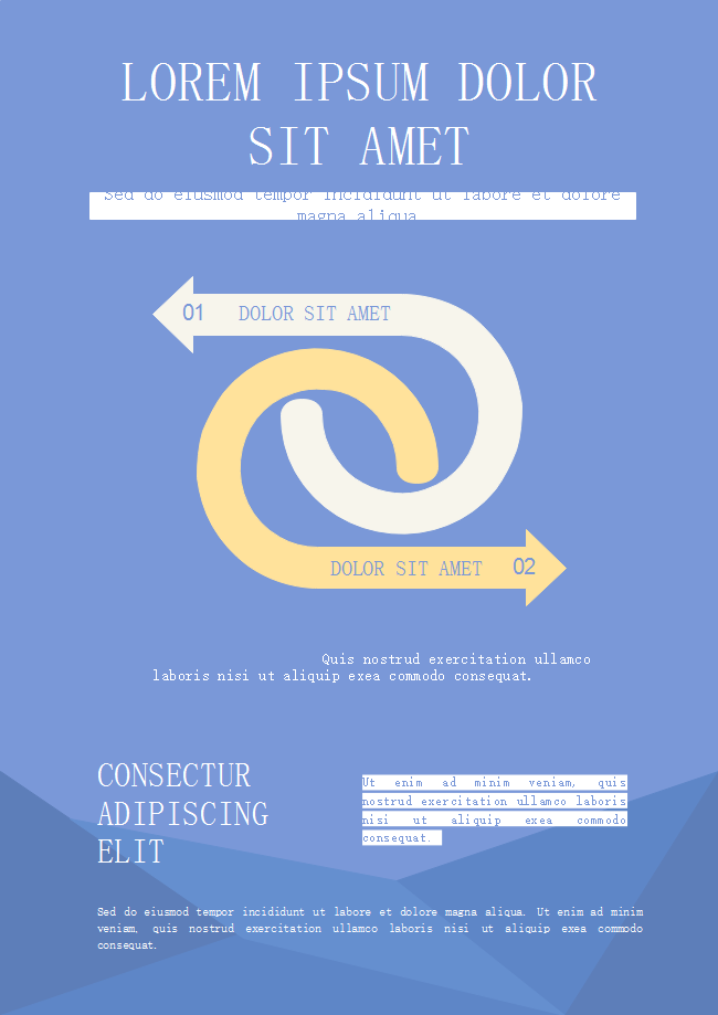 Bidirectional Arrow Flyer