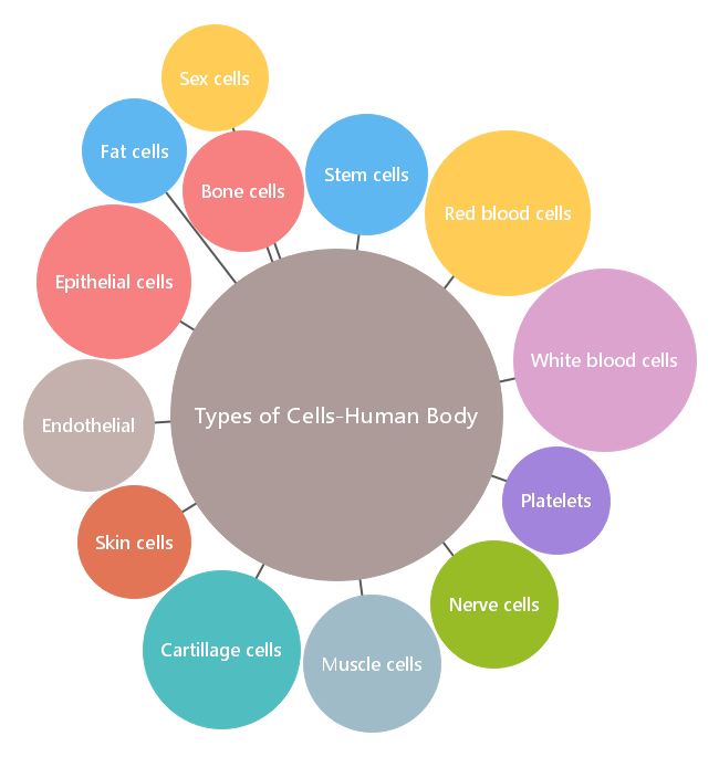 Types Of Cells Human Body Bubble Map