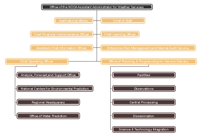 Chief Of Staff Org Chart