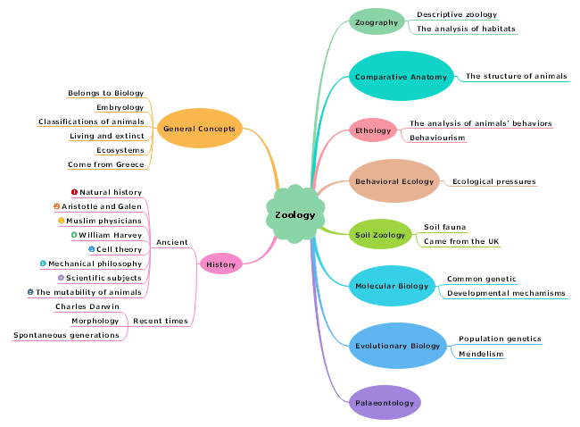 Zoology Chart