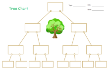 Inverted Triangle Graphic Organizer