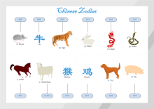 Chinese Zodiac Diagram