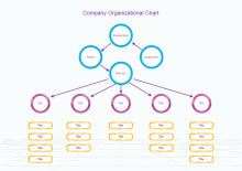 Custom Organizational Chart